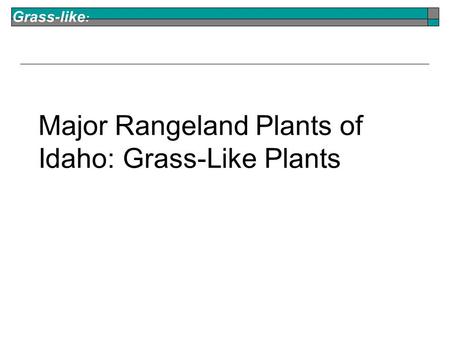 Grass-like : Major Rangeland Plants of Idaho: Grass-Like Plants.