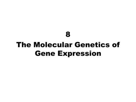 8 The Molecular Genetics of Gene Expression. Fig. 8.6c Transcription Elongation.