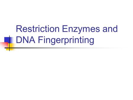 Restriction Enzymes and DNA Fingerprinting. Molecular Scissors for Cutting DNA Precisely Its because of these biological catalysts that genetic engineering.