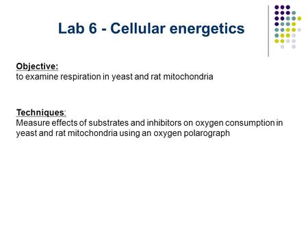 Lab 6 - Cellular energetics Objective: to examine respiration in yeast and rat mitochondria Techniques: Measure effects of substrates and inhibitors on.