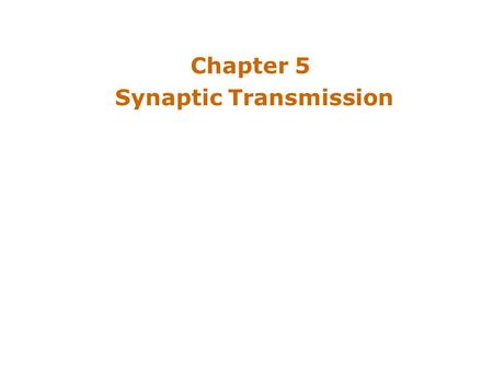 Chapter 5 Synaptic Transmission