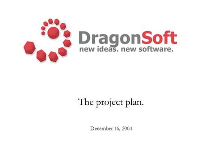 The project plan. December 16, 2004. Agenda The project plan –Risks –Language decision –Schedule –Quality plan –Testing –Documentation Program architecture.