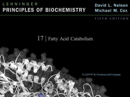 17 | Fatty Acid Catabolism © 2009 W. H. Freeman and Company.