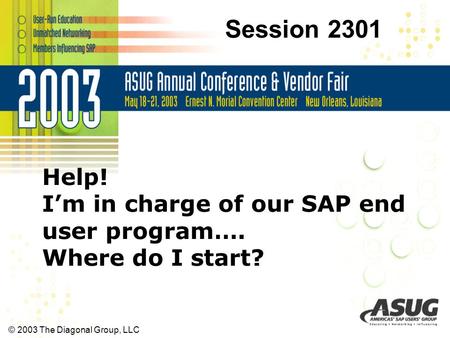 © 2003 The Diagonal Group, LLC Help! I’m in charge of our SAP end user program…. Where do I start? Session 2301.