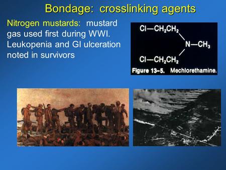 Nitrogen mustards: mustard gas used first during WWI. Leukopenia and GI ulceration noted in survivors Bondage: crosslinking agents.