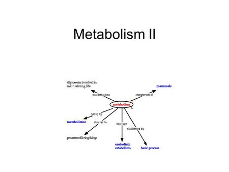 Metabolism II.