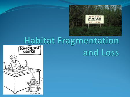 Habitat fragmentation = the breaking apart of continuous habitat 1. reduction in the total amount of original habitat (i.e. habitat loss) 2. subdivision.