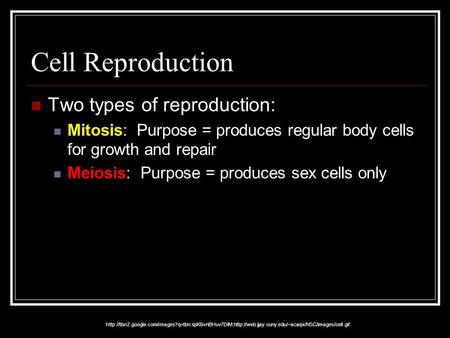 Cell Reproduction Two types of reproduction: Mitosis: Purpose = produces regular body cells for growth and repair Meiosis: Purpose = produces sex cells.