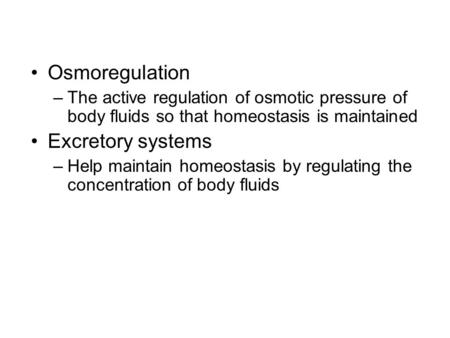 Osmoregulation –The active regulation of osmotic pressure of body fluids so that homeostasis is maintained Excretory systems –Help maintain homeostasis.