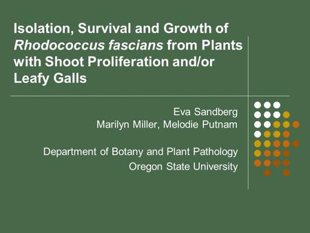 Isolation, Survival and Growth of Rhodococcus fascians from Plants with Shoot Proliferation and/or Leafy Galls Eva Sandberg Marilyn Miller, Melodie Putnam.
