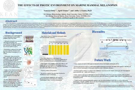 THE EFFECTS OF PHOTIC ENVIRONMENT ON MARINE MAMMAL MELANOPSIN Vanessa Ortiz 1*, April Triano 2* and Jeffry I. Fasick, Ph.D 1 B.S Biology (Biotechnology.