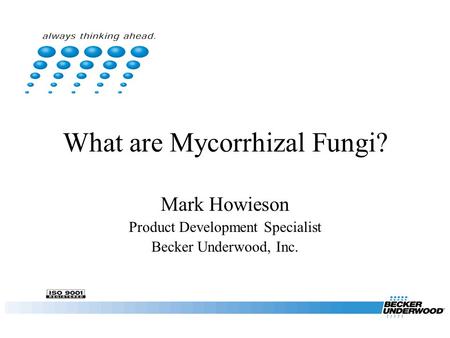 What are Mycorrhizal Fungi? Mark Howieson Product Development Specialist Becker Underwood, Inc.
