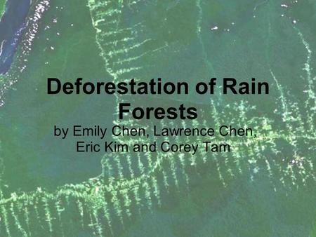 Deforestation of Rain Forests by Emily Chen, Lawrence Chen, Eric Kim and Corey Tam.