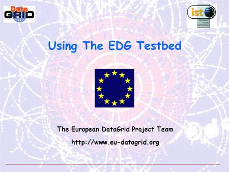 Using The EDG Testbed The European DataGrid Project Team