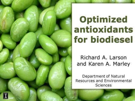 Optimized antioxidants for biodiesel Richard A. Larson and Karen A. Marley Department of Natural Resources and Environmental Sciences.