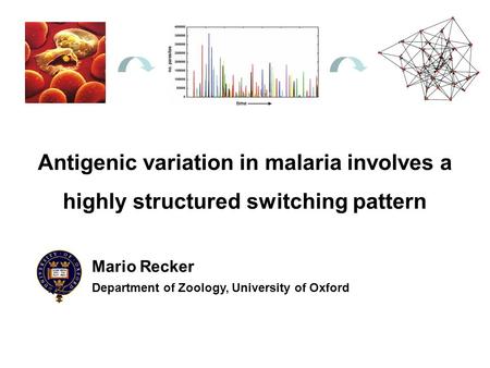 Antigenic variation in malaria involves a highly structured switching pattern Mario Recker Department of Zoology, University of Oxford.