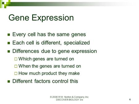 © 2006 W.W. Norton & Company, Inc. DISCOVER BIOLOGY 3/e1 Gene Expression Every cell has the same genes Each cell is different, specialized Differences.
