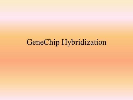 GeneChip Hybridization. The following hybridization mix is prepared for each sample Fragmented cRNA 5ug 10 ul Control B2 Oligo1.7 ul 20x Eukaryotic Control.