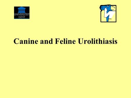 Canine and Feline Urolithiasis. Magnesium ammonium phosphate Calcium oxalate Urate Cystine Calcium phosphate Silicate Mixed stones.