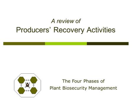 A review of Producers’ Recovery Activities The Four Phases of Plant Biosecurity Management.