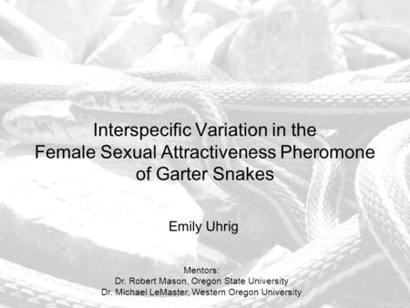 Interspecific Variation in the Female Sexual Attractiveness Pheromone of Garter Snakes Emily Uhrig Mentors: Dr. Robert Mason, Oregon State University Dr.