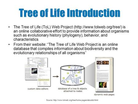 Tree of Life Introduction The Tree of Life (ToL) Web Project (http://www.tolweb.org/tree/) is an online collaborative effort to provide information about.