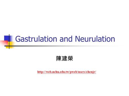 Gastrulation and Neurulation