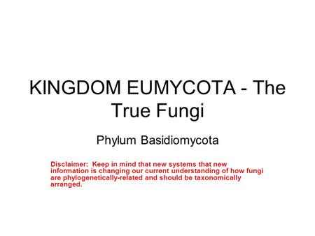 KINGDOM EUMYCOTA - The True Fungi