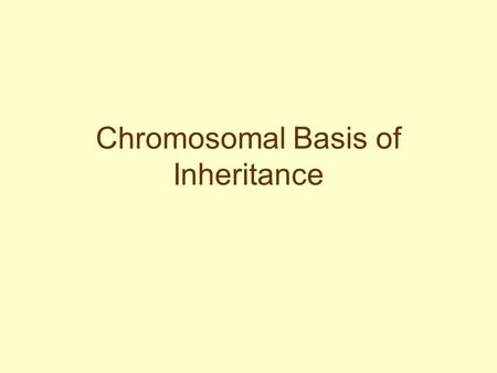 Chromosomal Basis of Inheritance