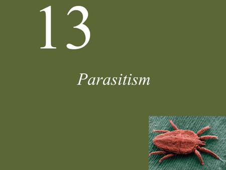 13 Parasitism. 13 Parasitism Parasite Natural History Defense and Counterdefense Coevolution Ecological Effects of Parasites Dynamics and Spread of Diseases.