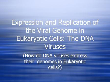 (How do DNA viruses express their genomes in Eukaryotic cells?)