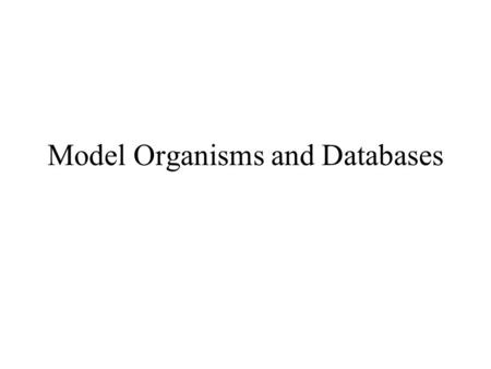 Model Organisms and Databases. Model Organisms Characteristics of model organisms in genetics studies –Genetic history well known –Short life cycle; large.