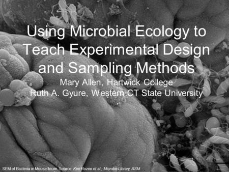 Using Microbial Ecology to Teach Experimental Design and Sampling Methods Mary Allen, Hartwick College Ruth A. Gyure, Western CT State University SEM of.