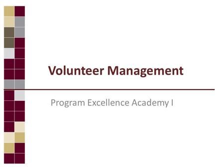 Volunteer Management Program Excellence Academy I.