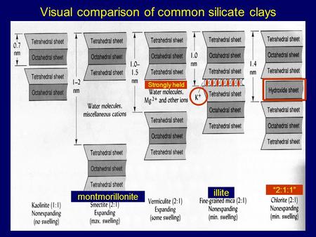 Visual comparison of common silicate clays
