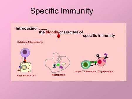 Specific Immunity. Who are the players? Antigens: foreign proteins, usually part of virus or bacteria Antibodies: Proteins made by immune cells that “recognize”