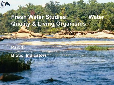 Part 1: Biotic Indicators Fresh Water Studies: Water Quality & Living Organisms.