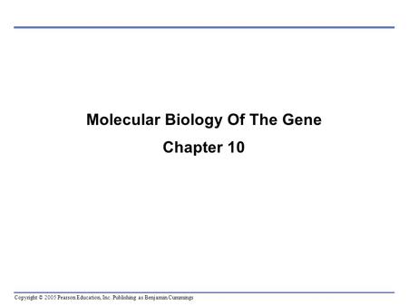 Copyright © 2005 Pearson Education, Inc. Publishing as Benjamin Cummings Molecular Biology Of The Gene Chapter 10.