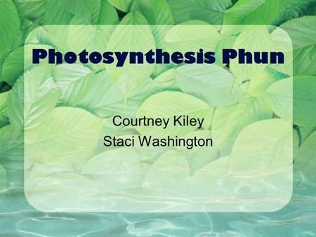 Photosynthesis Phun Courtney Kiley Staci Washington.