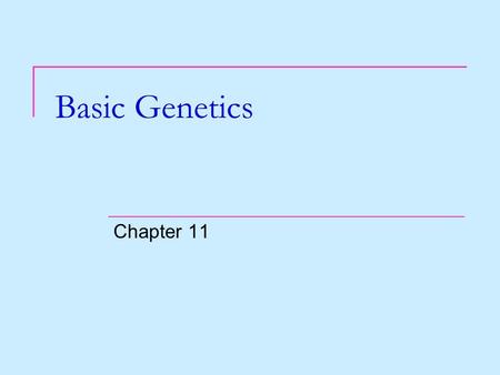 Basic Genetics Chapter 11. I. HEREDITY the passing on of traits from PARENTS to OFFSPRING.