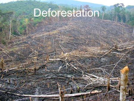 Deforestation. Results by 2050 Loss of 97% of the Earth’s old-growth forests; Loss of 84% of the tropical rainforests (about 47 million square kilometers);