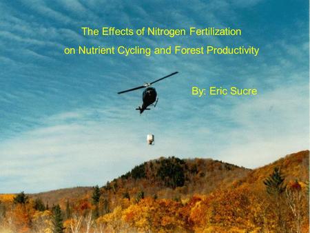 The Effects of Nitrogen Fertilization on Nutrient Cycling and Forest Productivity By: Eric Sucre.