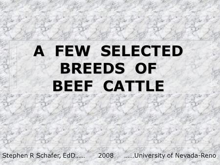 A FEW SELECTED BREEDS OF BEEF CATTLE Stephen R Schafer, EdD…… 2008 ……University of Nevada-Reno.