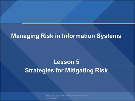 Managing Risk in Information Systems Strategies for Mitigating Risk
