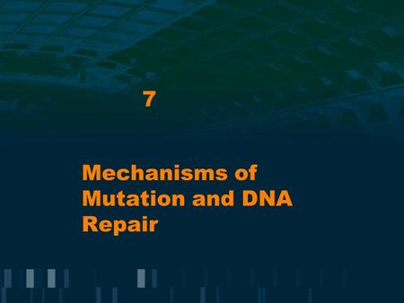 7 Mechanisms of Mutation and DNA Repair. Mutations Spontaneous mutation : occurs in absence of mutagenic agent Rate of mutation: probability of change.