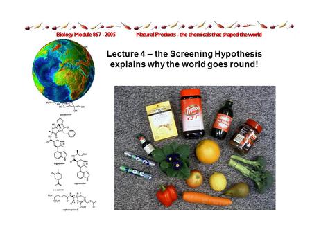Lecture 4 – the Screening Hypothesis explains why the world goes round!