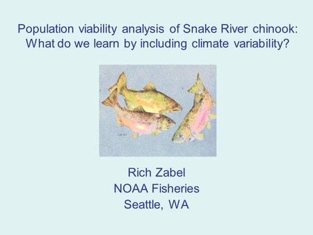 Population viability analysis of Snake River chinook: What do we learn by including climate variability? Rich Zabel NOAA Fisheries Seattle, WA.