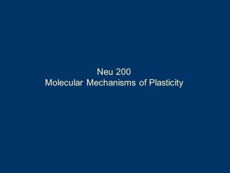 Neu 200 Molecular Mechanisms of Plasticity. Biochemical Basis of LTP.