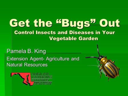 Get the “Bugs” Out Control Insects and Diseases in Your Vegetable Garden Pamela B. King Extension Agent- Agriculture and Natural Resources.