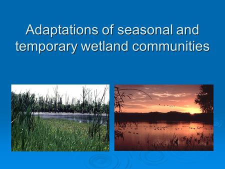 Adaptations of seasonal and temporary wetland communities.